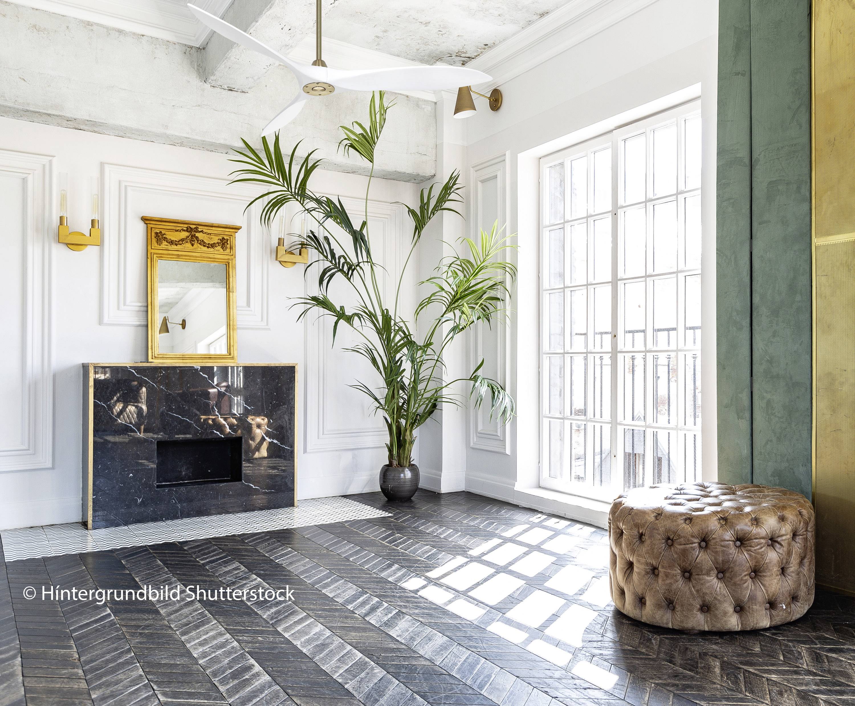 Ein heller Raum mit Holzboden, großen Fenstern, einem Spiegel über einem schwarzen Kamin und einer großen grünen Pflanze.