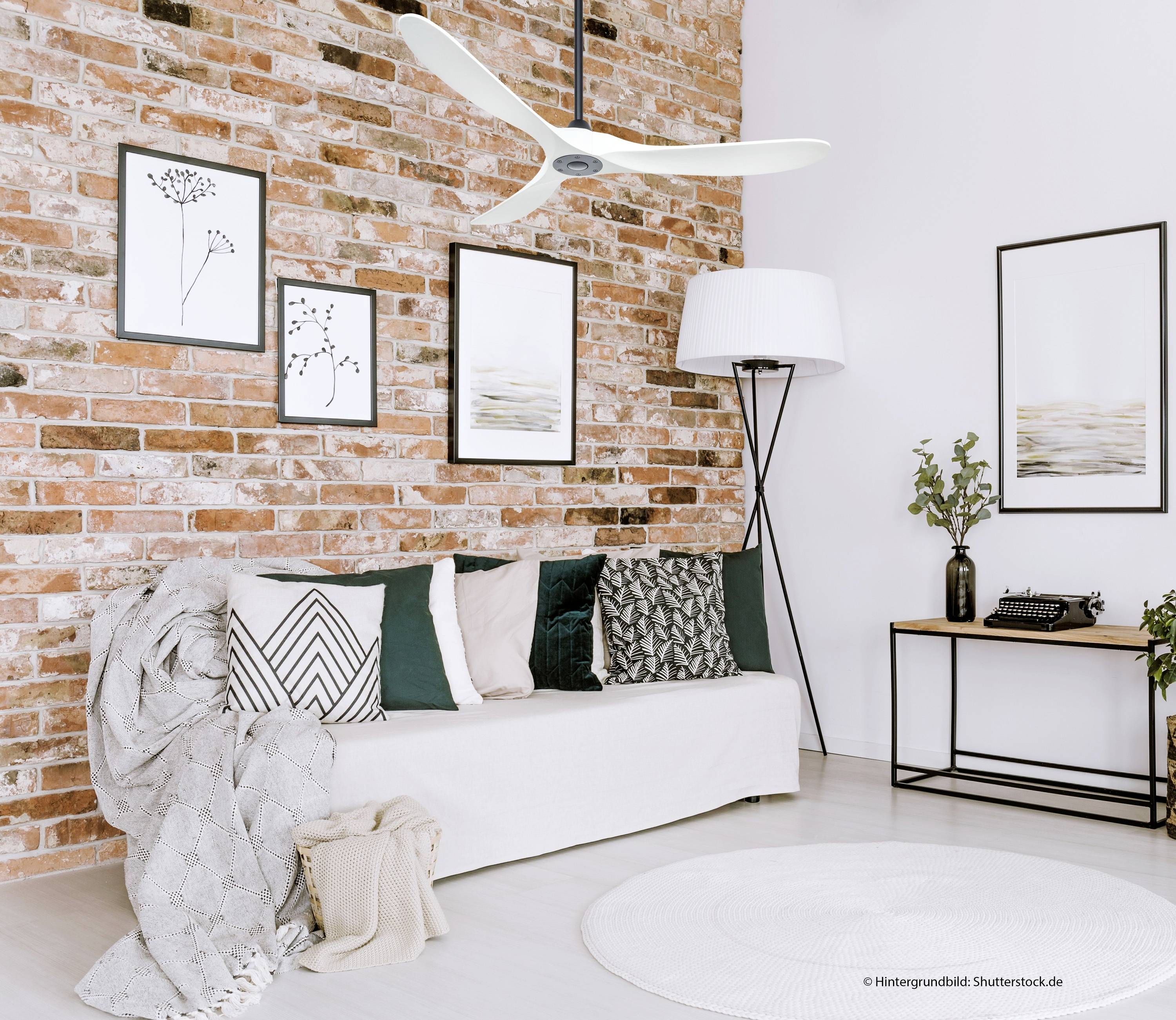 CasaFan ECO GENUINO 152 MS-MW Deckenventilator 16.6W (Ø x H) 1520mm x 285mm Schwarz (matt) mit Fernbedienung, Winterbetrieb