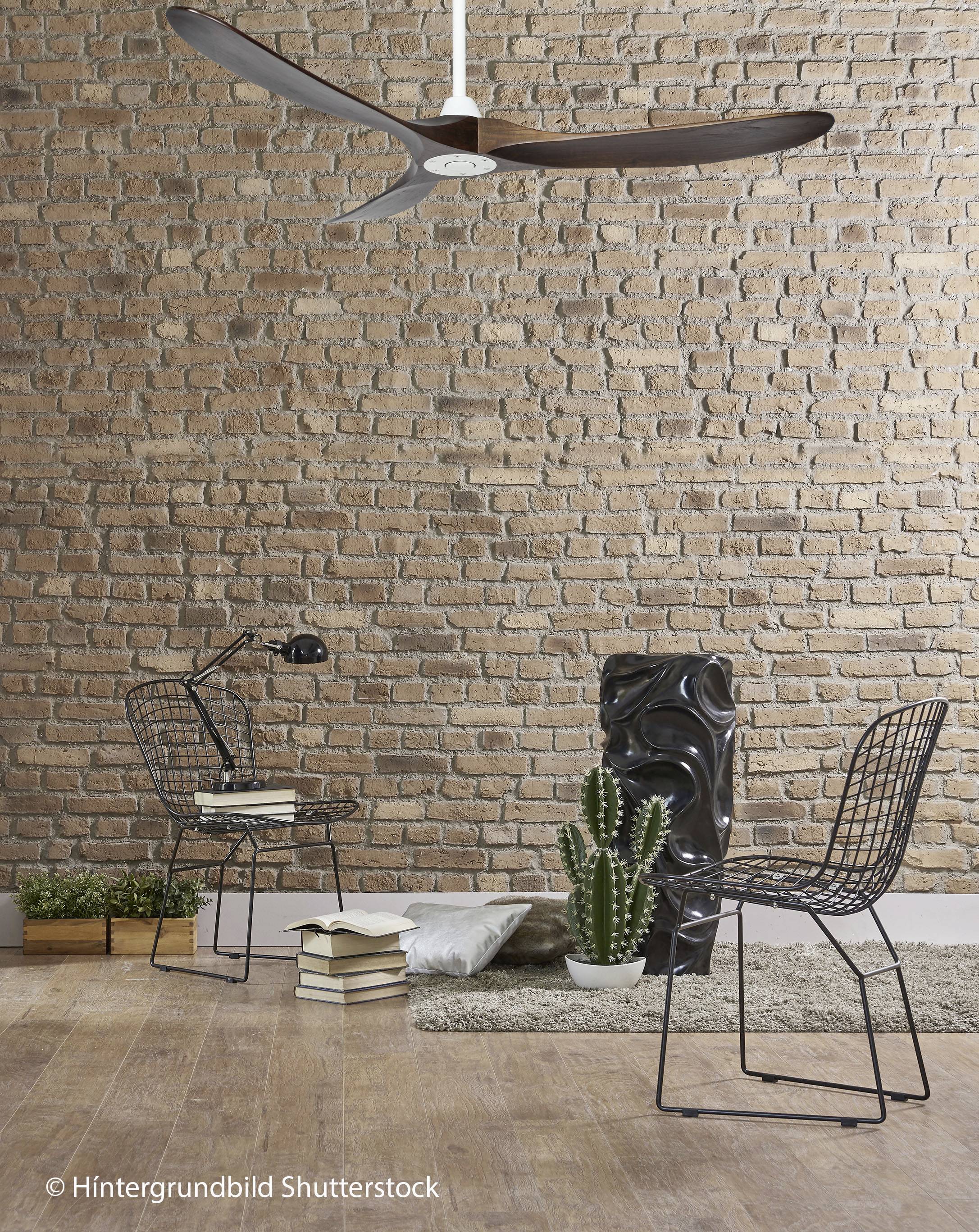 Ein minimalistisches Wohnzimmer mit zwei Metallstühlen, einem Kaktus und einem modernen Deckenventilator vor einer Ziegelwand.