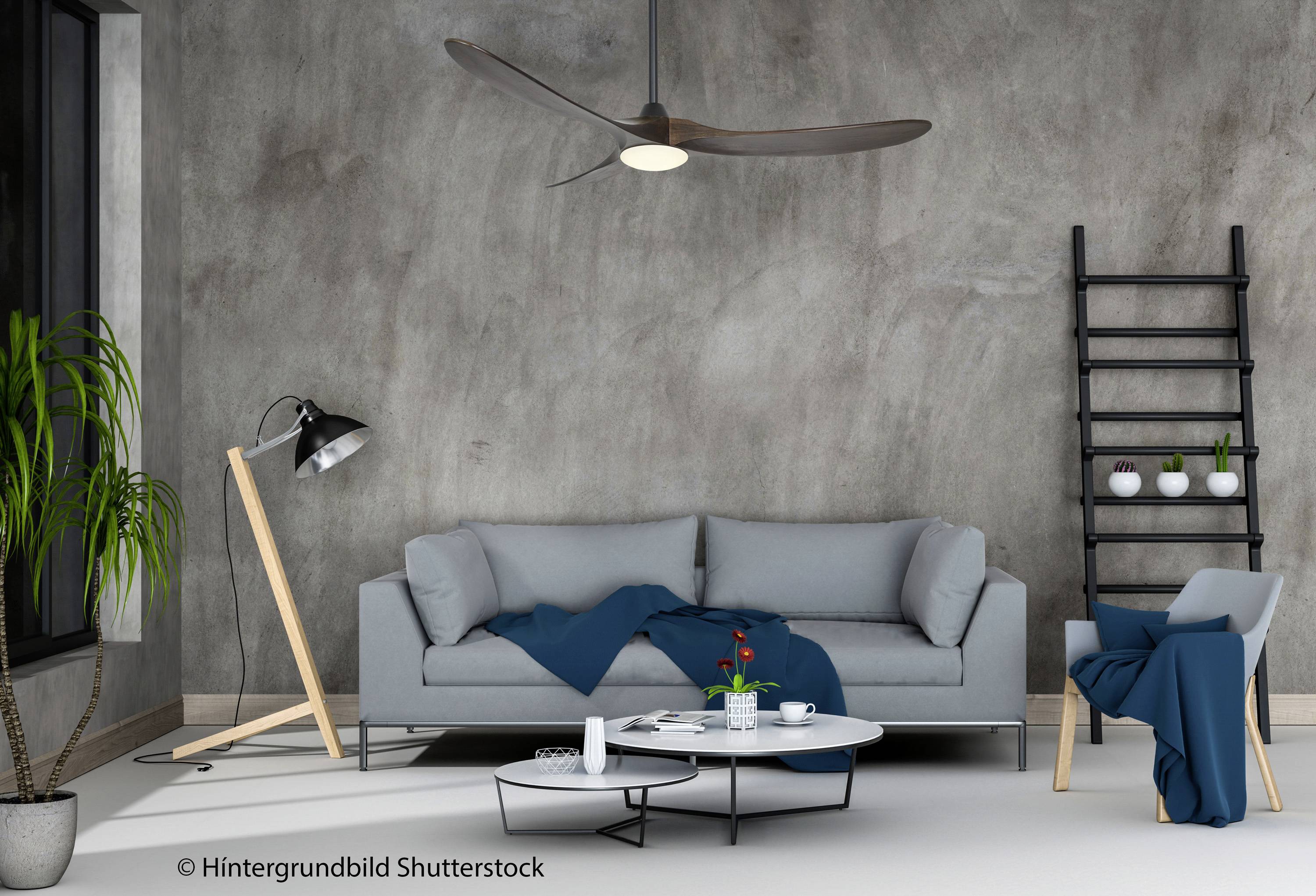 Stilvoll eingerichtetes Wohnzimmer mit grauem Sofa, Couchtisch und Lampe vor einer Betonwand. Pflanzen und Decke ergänzen das Ambiente.