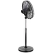 CasaFan AIROS ECO SILENT SW Standventilator 90W (L x B x H) 295 x 514 x 1350mm Schwarz mit Fernbedienung, Timer, Oszillierend CasaFan AIROS ECO SILENT SW Standventilator 90W (L x B x H) 295 x 514 x 1350mm Schwarz mit Fernbedienung, Timer, Oszillierend