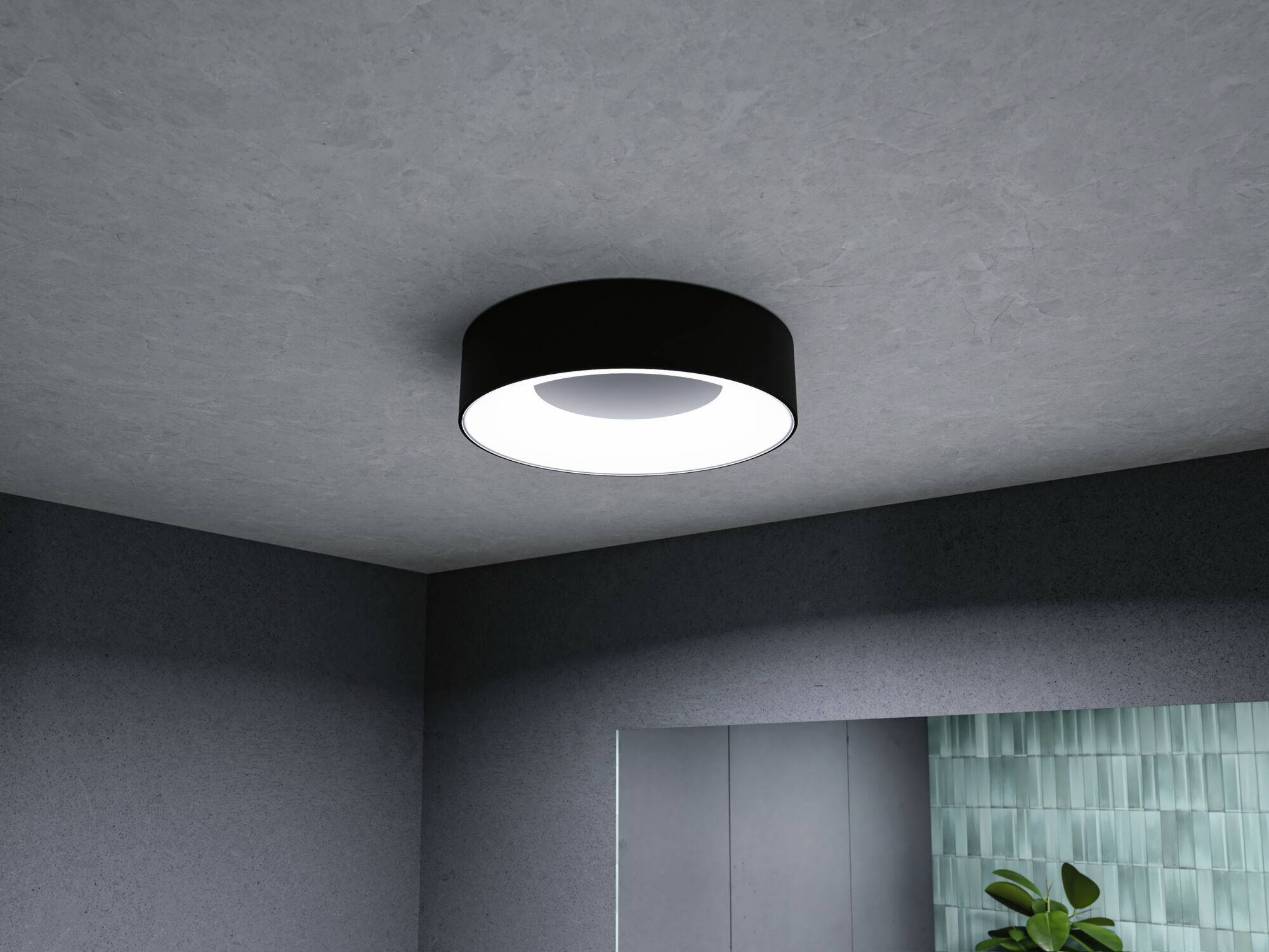 Eine runde Deckenlampe in modernem Design leuchtet hell in einem Raum mit grauen Wänden und einem dekorativen grünen Element.