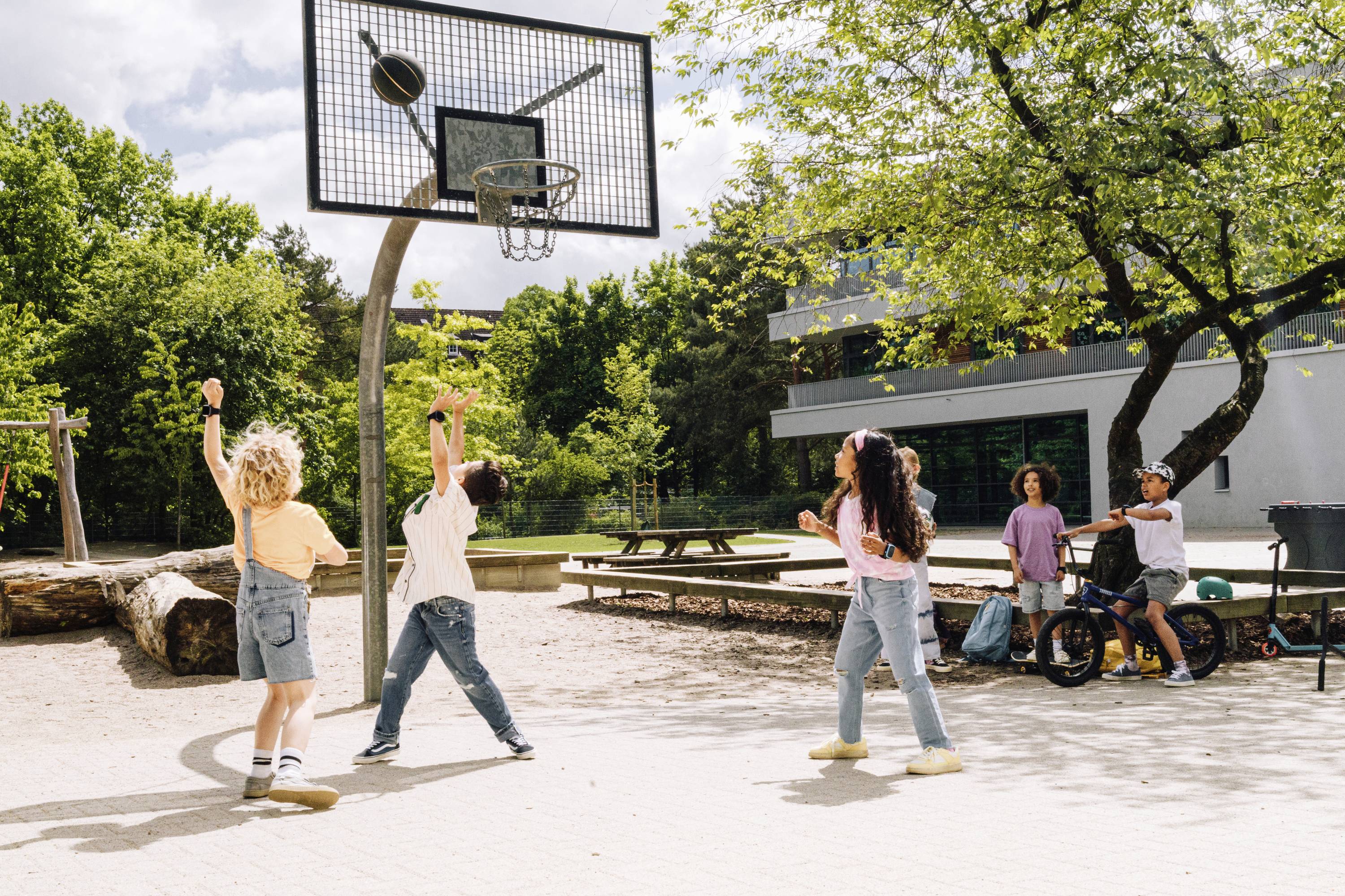 Kinder spielen auf einem sonnigen Schulhof Basketball, umgeben von Bäumen und einem Schulgebäude. Ein Ball fliegt Richtung Korb.