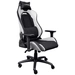 Trust GXT714 RUYA Gaming-Stuhl Schwarz/Weiß Trust GXT714 RUYA Gaming-Stuhl Schwarz/Weiß