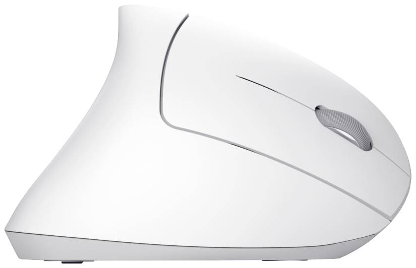 Trust VERTO WIRELESS ERGO Maus Funk Optisch Weiß 6 Tasten 1600 dpi Ergonomisch