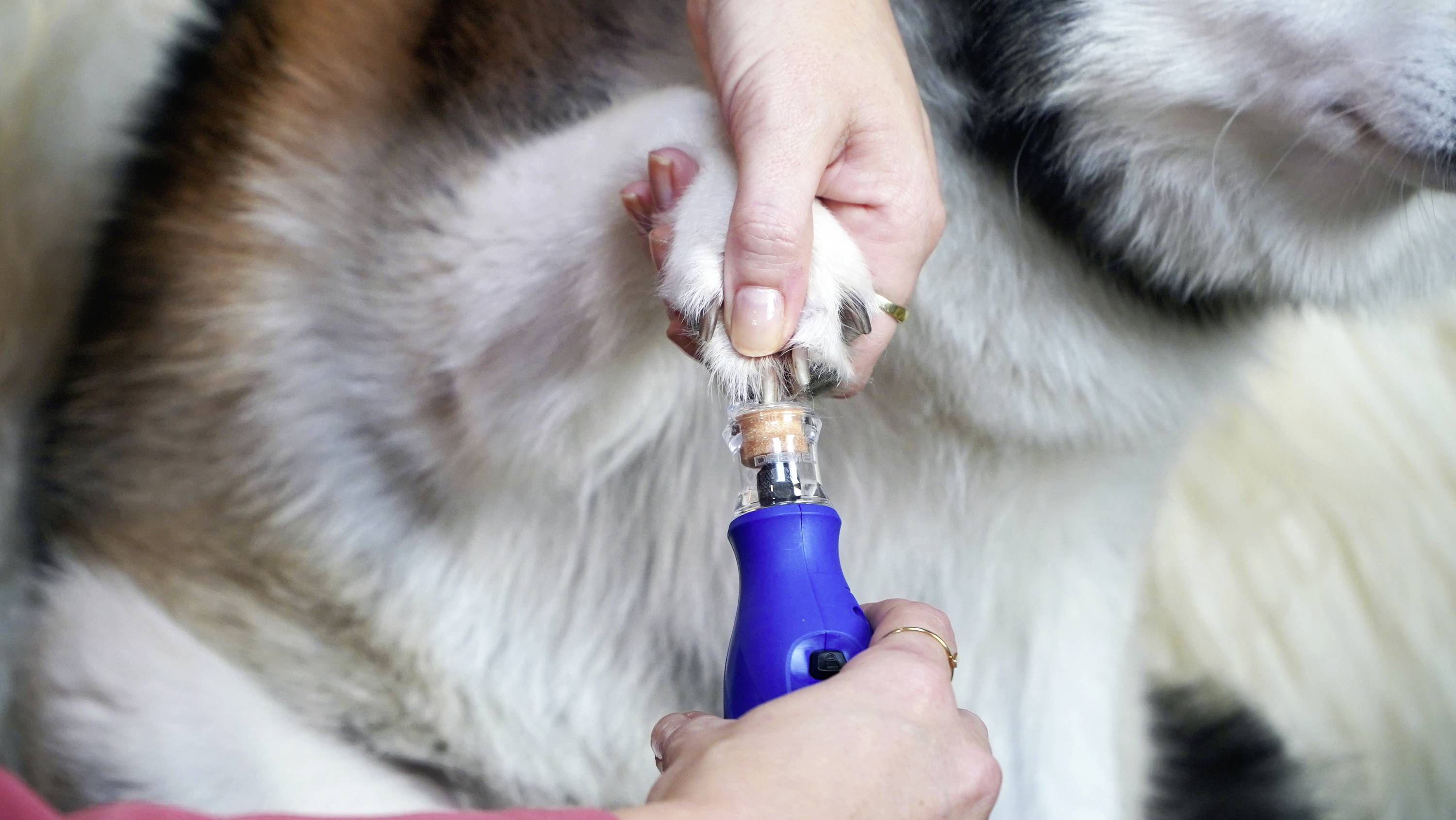 Dremel 7350-PET Tierkrallenpflege 1 St.