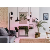 Paulmann LED-Pflanzenlampe Wachstum 230V E27 6.5W Bernstein 1St. Paulmann LED-Pflanzenlampe Wachstum 230V E27 6.5W Bernstein 1St.