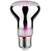 Paulmann LED-Pflanzenlampe Wachstum 230V E27 6.5W Bernstein 1St.