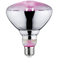 Paulmann LED-Pflanzenlampe Wachstum 230V E27 6.5W Bernstein 1St. Paulmann LED-Pflanzenlampe Wachstum 230V E27 6.5W Bernstein 1St.