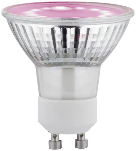 Paulmann LED-Pflanzenlampe Wachstum 230V GU10 3.5W Bernstein 1St.