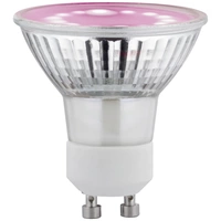 Paulmann LED-Pflanzenlampe Wachstum 230V GU10 3.5W Bernstein 1St. Paulmann LED-Pflanzenlampe Wachstum 230V GU10 3.5W Bernstein 1St.