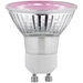 Paulmann LED-Pflanzenlampe Wachstum 230V GU10 3.5W Bernstein 1St. Paulmann LED-Pflanzenlampe Wachstum 230V GU10 3.5W Bernstein 1St.