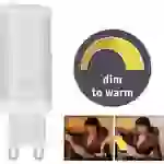 Paulmann 28819 LED EEK G (A - G) G9 4W Gold (Ø x H) 18mm x 55mm 1St. Paulmann 28819 LED EEK G (A - G) G9 4W Gold (Ø x H) 18mm x 55mm 1St.