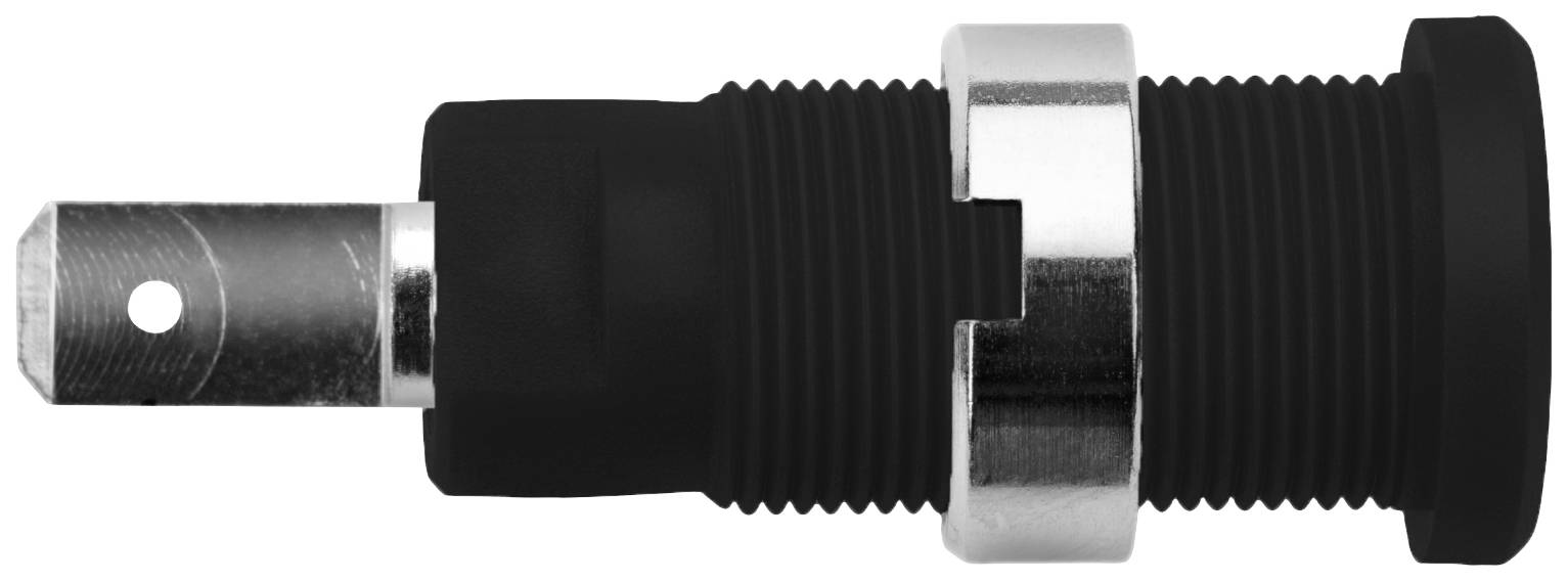 Schützinger Sicherheits-Einbaubuchse Schwarz 1St.