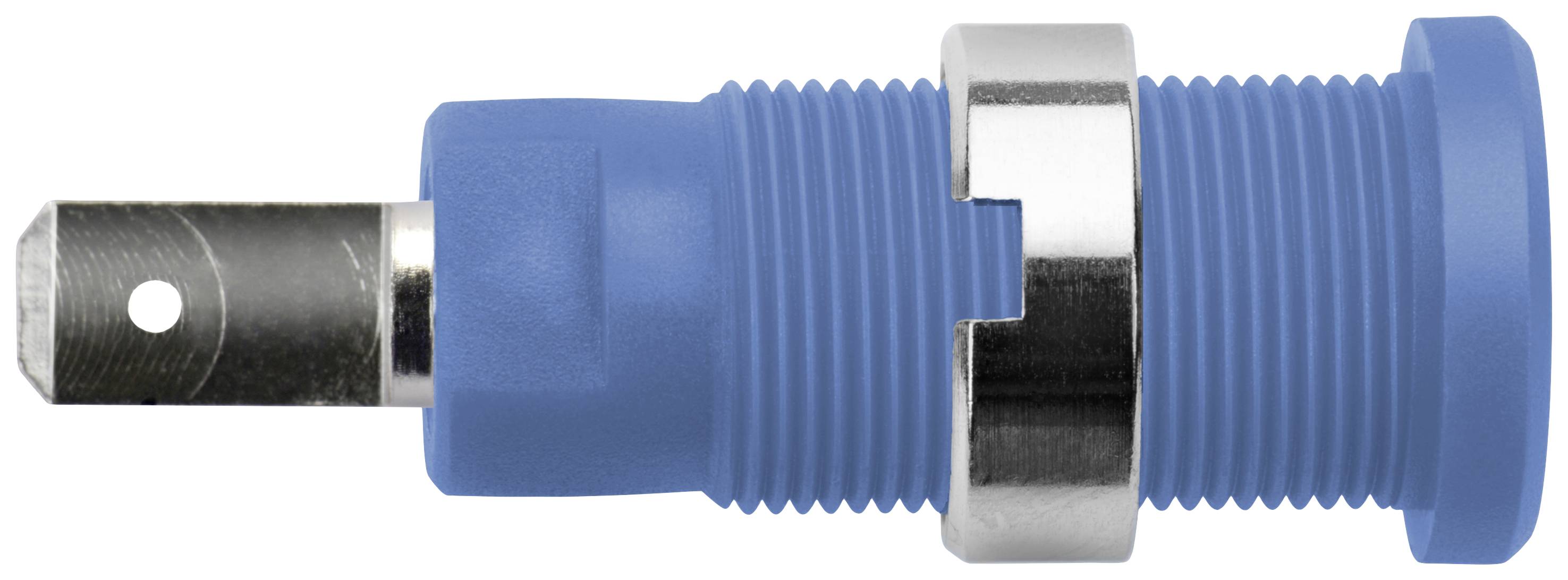 Schützinger Sicherheits-Einbaubuchse Blau 1St.