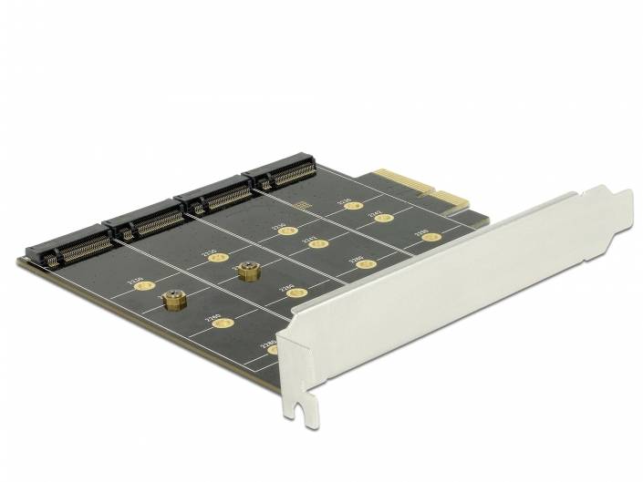 Delock 89888 PCI-Express Karte PCIe