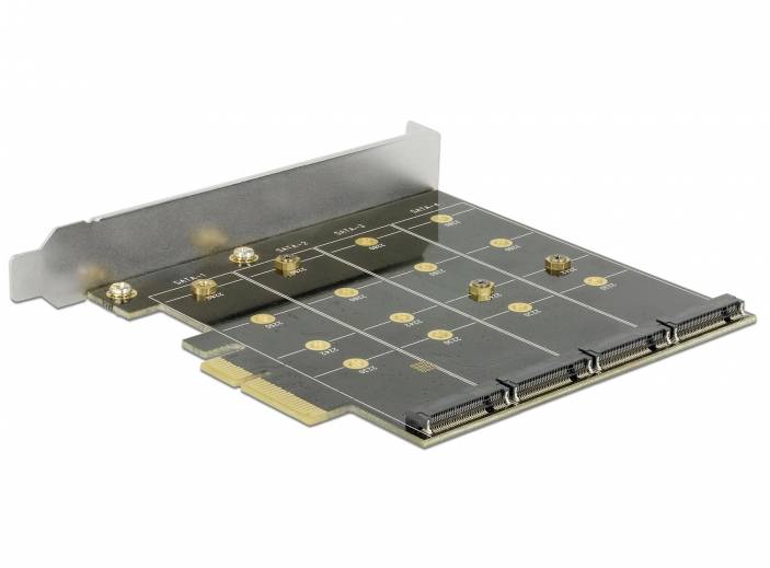Delock 89888 PCI-Express Karte PCIe