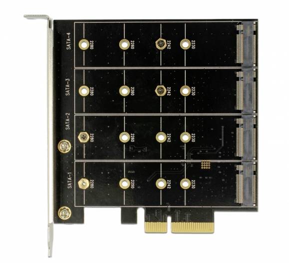 Delock 89888 PCI-Express Karte PCIe