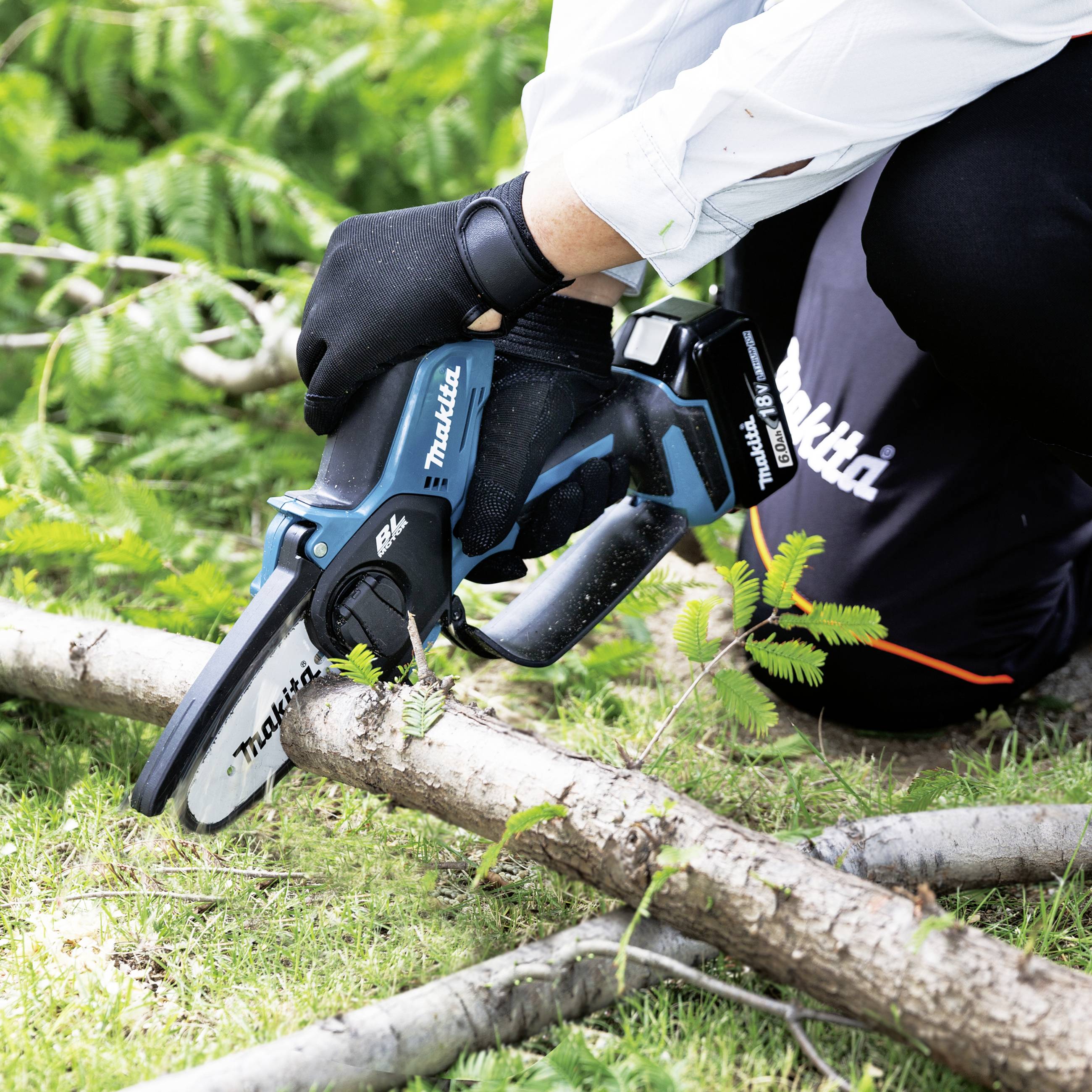 Ein Mensch in schwarzen Handschuhen benutzt eine elektrische Säge, um einen Ast im Garten zu schneiden. Gras und Blätter sind im Hintergrund sichtbar.