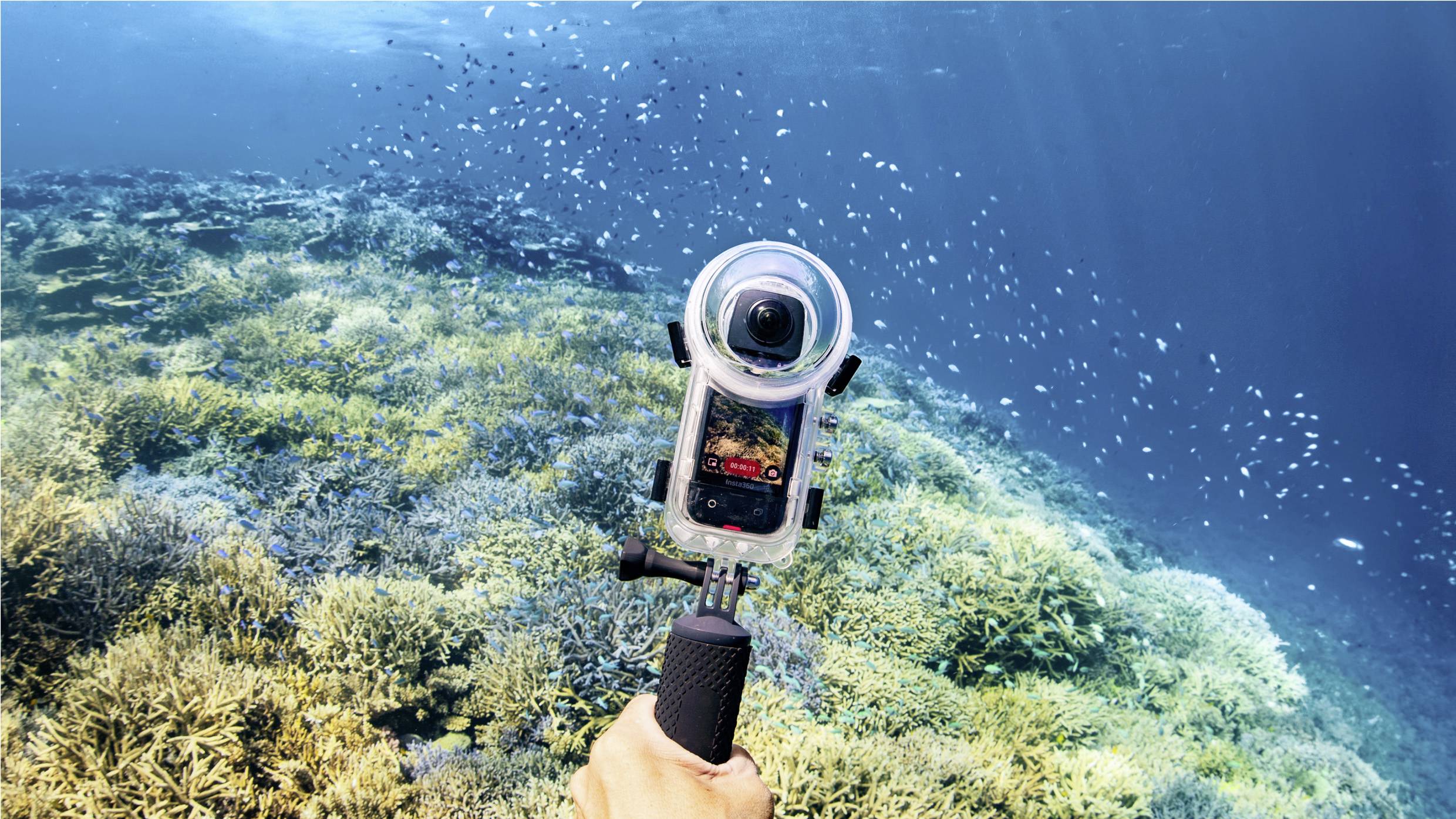 Eine Person filmt eine Unterwasserlandschaft mit einer Action-Kamera. Im Hintergrund sind viele Fische und Korallen zu sehen.