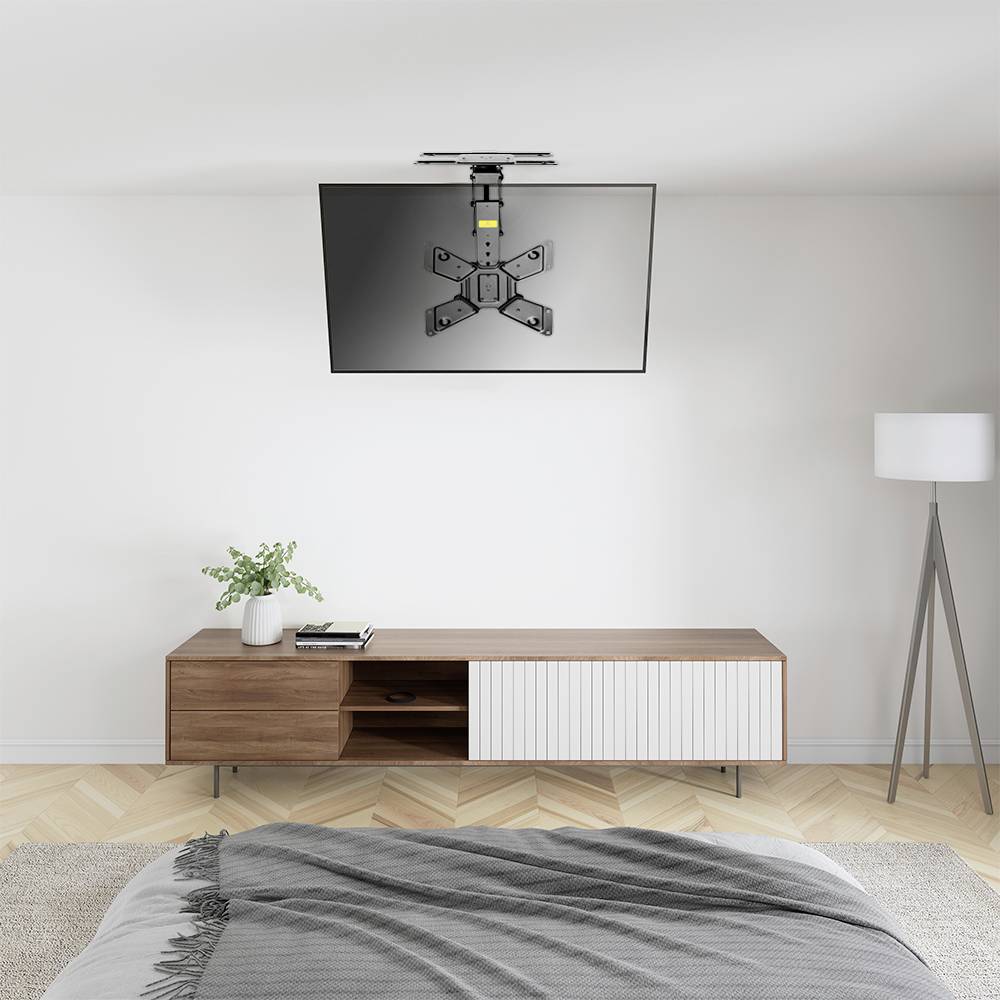 Ein Fernseher ist an der Decke montiert. Darunter steht ein modernes Sideboard mit Pflanze und Lampe, die eine stilvolle Wohnzimmeratmosphäre schaffen.