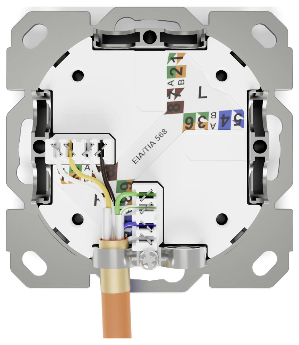 Digitus DN-9010/8-1 Netzwerkdose Unterputz Einsatz mit Zentralplatte und Rahmen CAT 6a Weiß