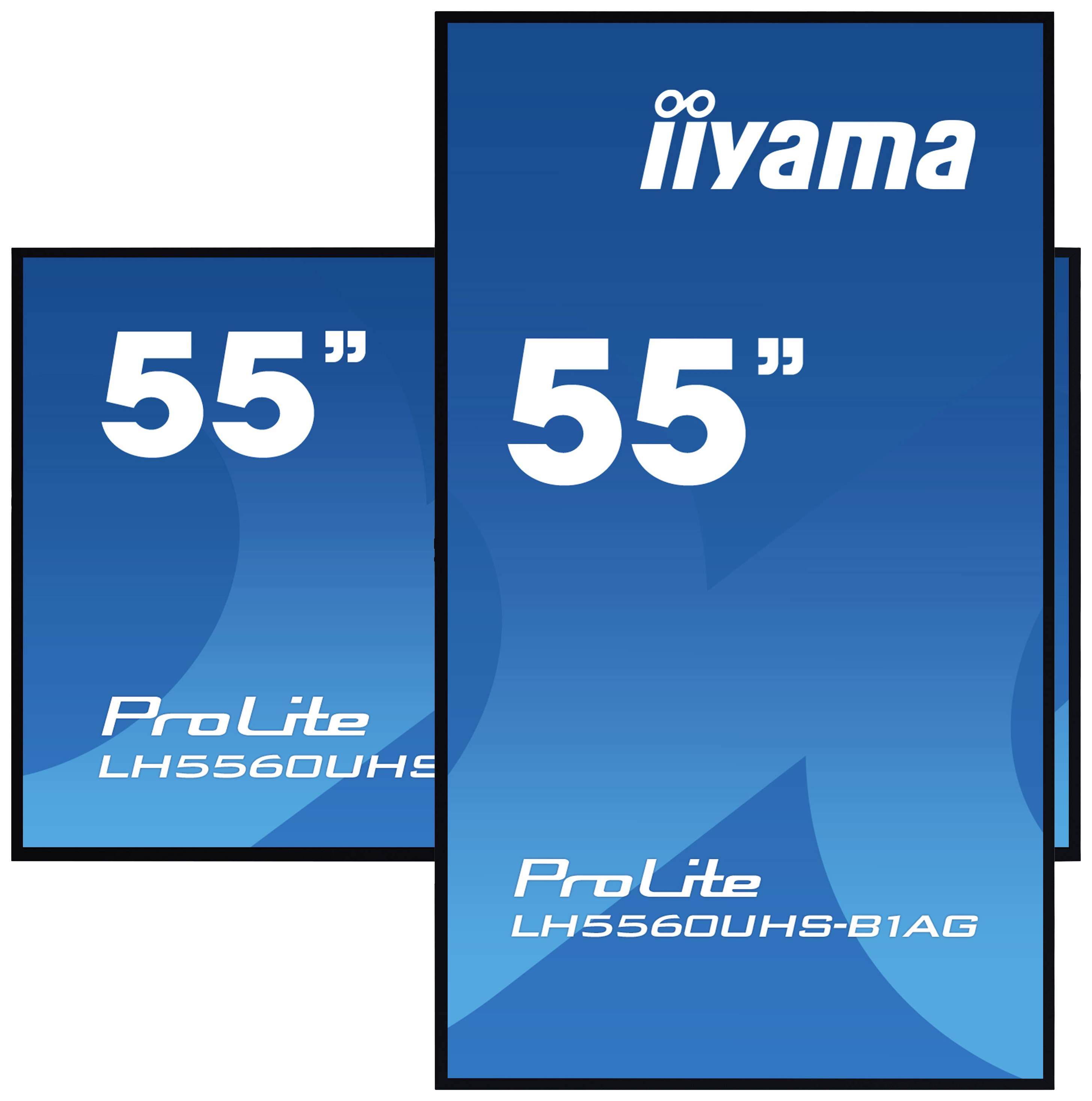 Zwei blaue Bildschirme von iiyama, beide mit der Aufschrift '55