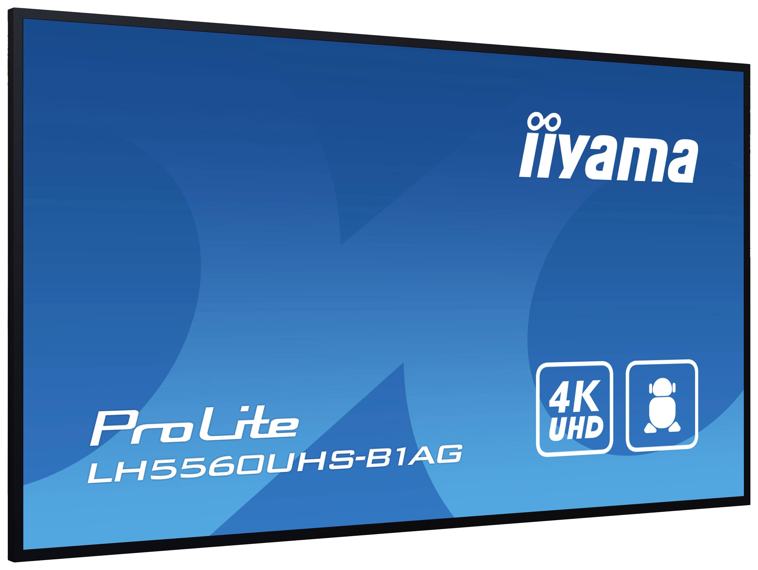 Blauer Bildschirm mit weißem 'iiyama'-Logo und Text 'ProLite LH5560UHS-B1AG'. Symbole für 4K UHD und Bildschirmgröße sind abgebildet.