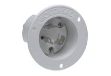 Molex 1301490024 Kleinspannungssteckdose