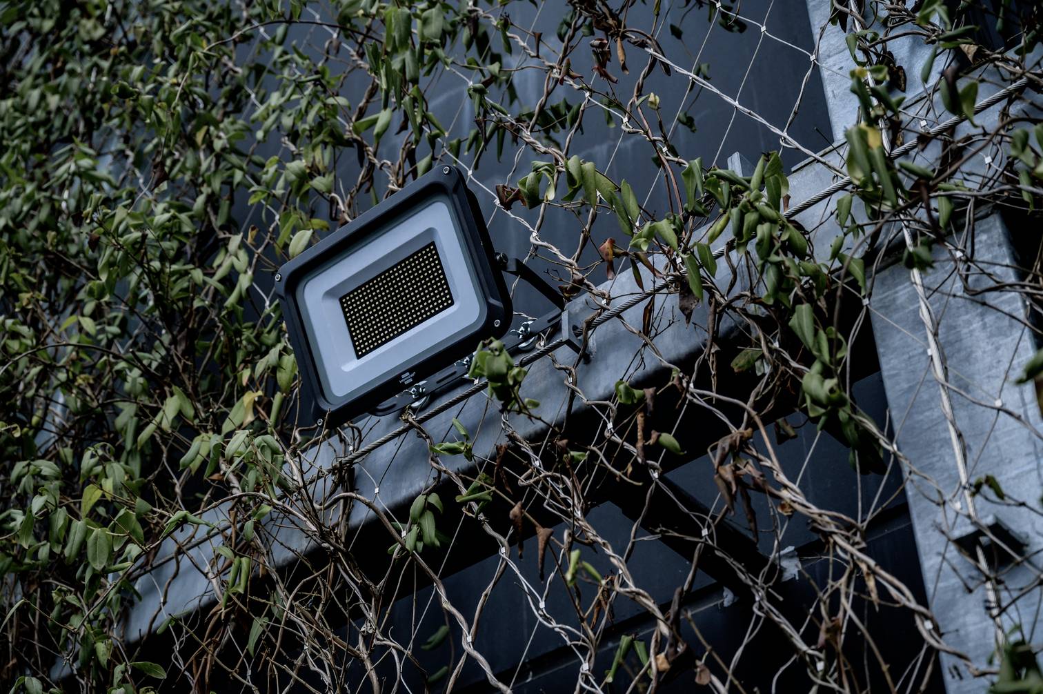 Ein Strahler ist an einem mit Ranken und Kletterpflanzen bewachsenen Gitter montiert. Hintergrund zeigt eine dunkle Wand.