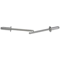 Gesipa 1433553 Blindniete Stahl Stahl 500St. Gesipa 1433553 Blindniete Stahl Stahl 500St.