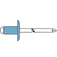 Gesipa 1433640 Blindniete Edelstahl Edelstahl 250St. Gesipa 1433640 Blindniete Edelstahl Edelstahl 250St.