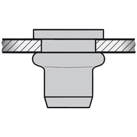 Gesipa 1433681 Blindnietmutter M6 250St. Gesipa 1433681 Blindnietmutter M6 250St.