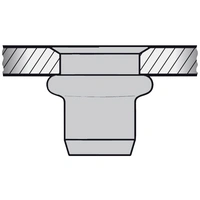 Gesipa 1433688 Blindnietmutter M8 100St. Gesipa 1433688 Blindnietmutter M8 100St.