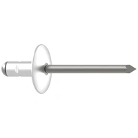 Gesipa 1433840 Mehrbereichsblindniete Stahl Aluminium 100St. Gesipa 1433840 Mehrbereichsblindniete Stahl Aluminium 100St.