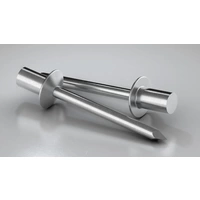 Gesipa 1453892 Dicht-Blindniete Stahl nicht rostend Aluminium 500St. Gesipa 1453892 Dicht-Blindniete Stahl nicht rostend Aluminium 500St.