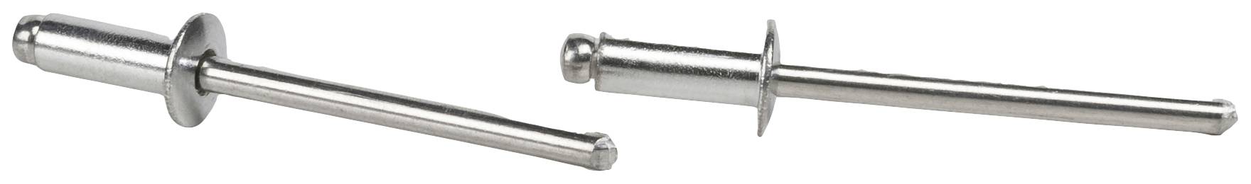 Zwei Metallnieten, nebeneinander liegend. Eine zeigt die Vorderseite mit Kopf, die andere die Rückseite mit Schaft und Dorn.