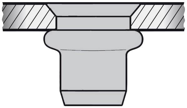 Gesipa 1455355 Blindnietmutter M10 100 St.