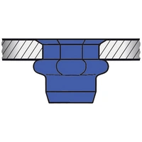 Gesipa 1455382 Blindnietmutter M6 250St. Gesipa 1455382 Blindnietmutter M6 250St.