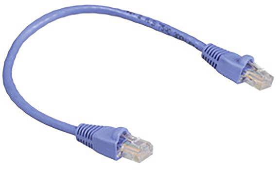 Ein blaues Ethernet-Kabel mit RJ-45-Steckern an beiden Enden, verwendet für Netzwerkverbindungen.