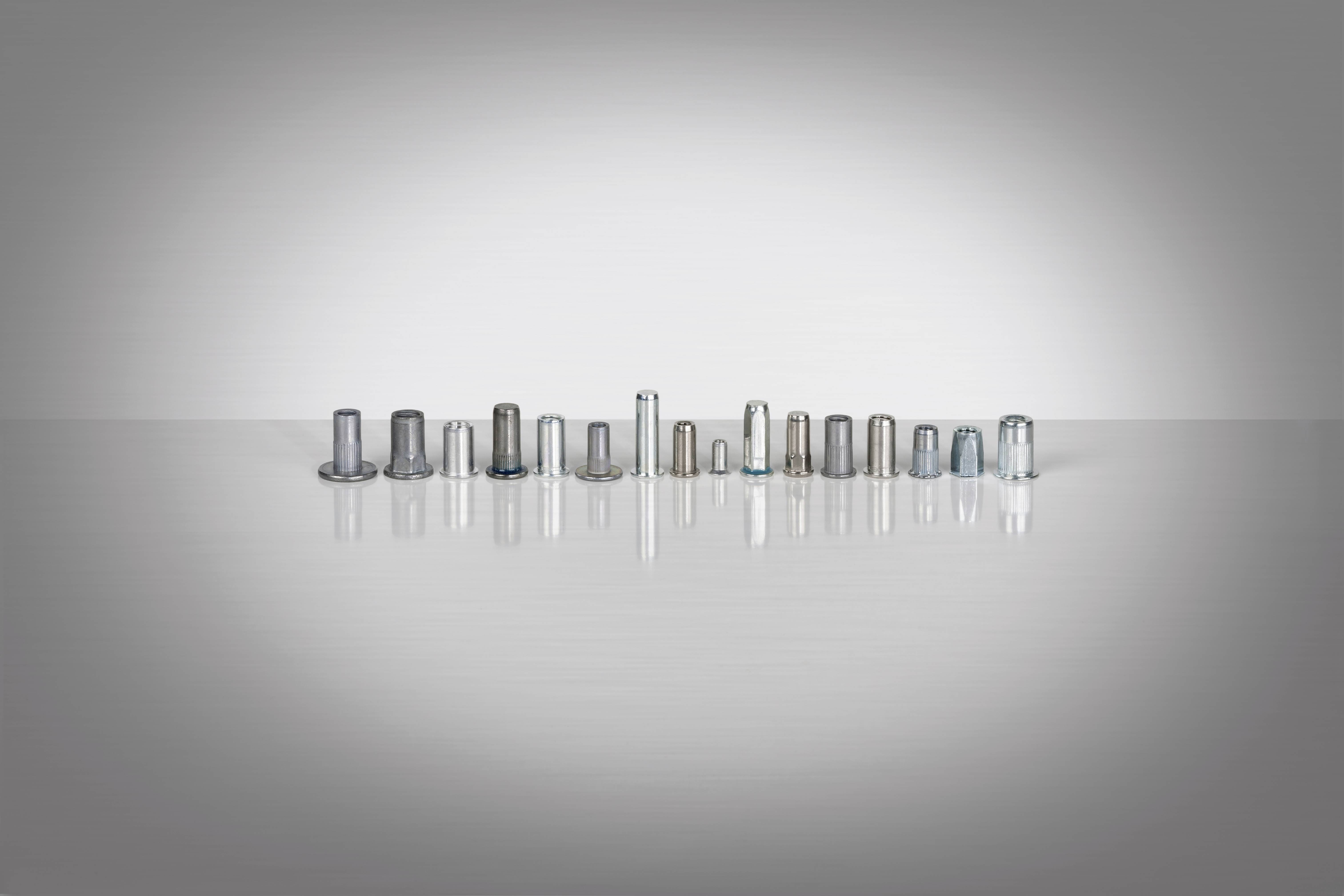 Eine Reihe von Metallnieten mit unterschiedlichen Größen und Formen auf einer reflektierenden Oberfläche.