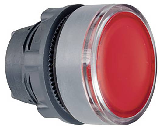 Ein großer roter Knopf vor einem neutralen Hintergrund.