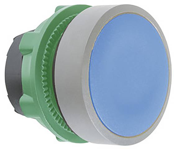 Ein großer, blauer Druckknopf mit grüner Basis und silbernem Rahmen.