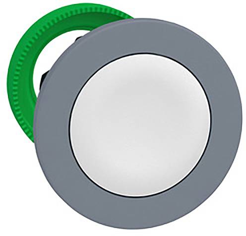 Grauer, runder Knopf mit einem weißen Zentrum und einem grünen Ring an der Rückseite. Der Knopf scheint für mechanische oder elektrische Geräte gedacht zu sein.