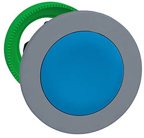 Ein runder Druckknopf mit blauer Oberfläche und grünem Ring.