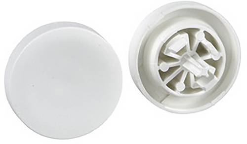 Schneider Electric Tastenschild 10 St.