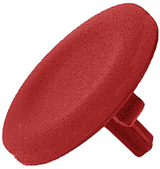 Schneider Electric Tastenschild 10St.