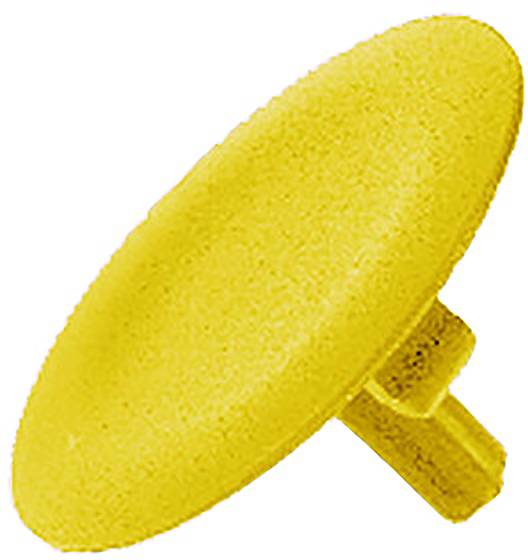 Schneider Electric Tastenschild 10St.