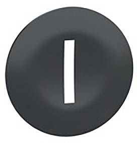 Schneider Electric Schutzkappe 10St.