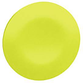 Schneider Electric Schutzkappe 10St.